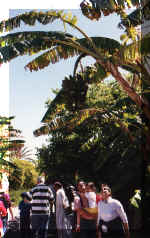 Maroc - Avril 2000 - Merci de cliquer sur l'image pour avoir une vision plein �cran. Pour revenir, utilisez la fl�che PRECEDENTE de votre navigateur.