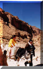Maroc - Avril 2000 - Merci de cliquer sur l'image pour avoir une vision plein �cran. Pour revenir, utilisez la fl�che PRECEDENTE de votre navigateur.