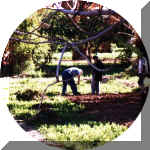 Maroc - Avril 2000 - Merci de cliquer sur l'image pour avoir une vision plein �cran. Pour revenir, utilisez la fl�che PRECEDENTE de votre navigateur.