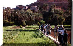 Maroc - Avril 2000 - Merci de cliquer sur l'image pour avoir une vision plein �cran. Pour revenir, utilisez la fl�che PRECEDENTE de votre navigateur.