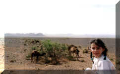 Maroc - Avril 2000 - Merci de cliquer sur l'image pour avoir une vision plein �cran. Pour revenir, utilisez la fl�che PRECEDENTE de votre navigateur.