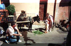 Maroc - Avril 2000 - Merci de cliquer sur l'image pour avoir une vision plein �cran. Pour revenir, utilisez la fl�che PRECEDENTE de votre navigateur.